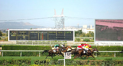 TJK Ankara 75.Yıl Hipodromu - 2006